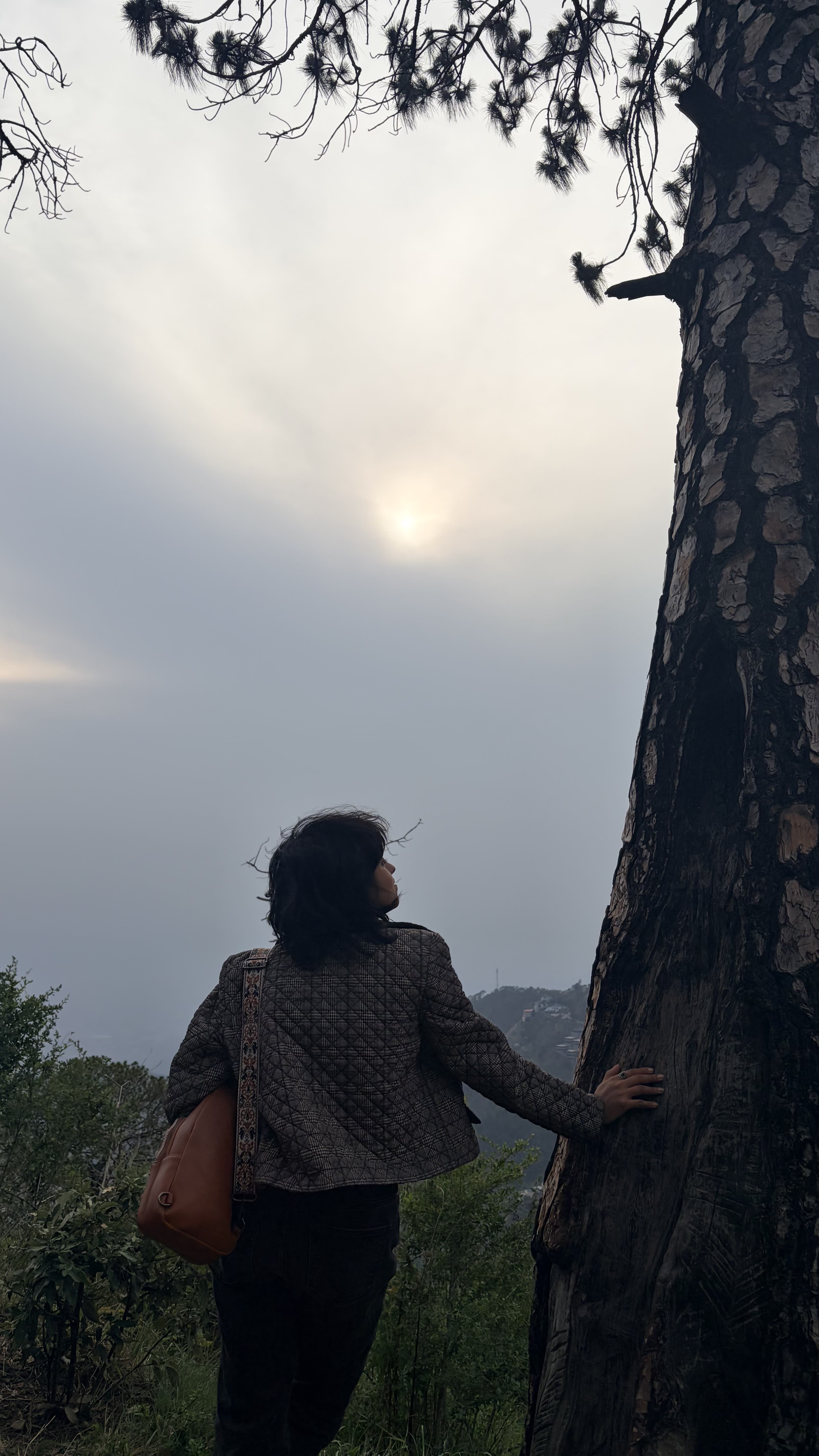 Kasauli, Himachal Pradesh