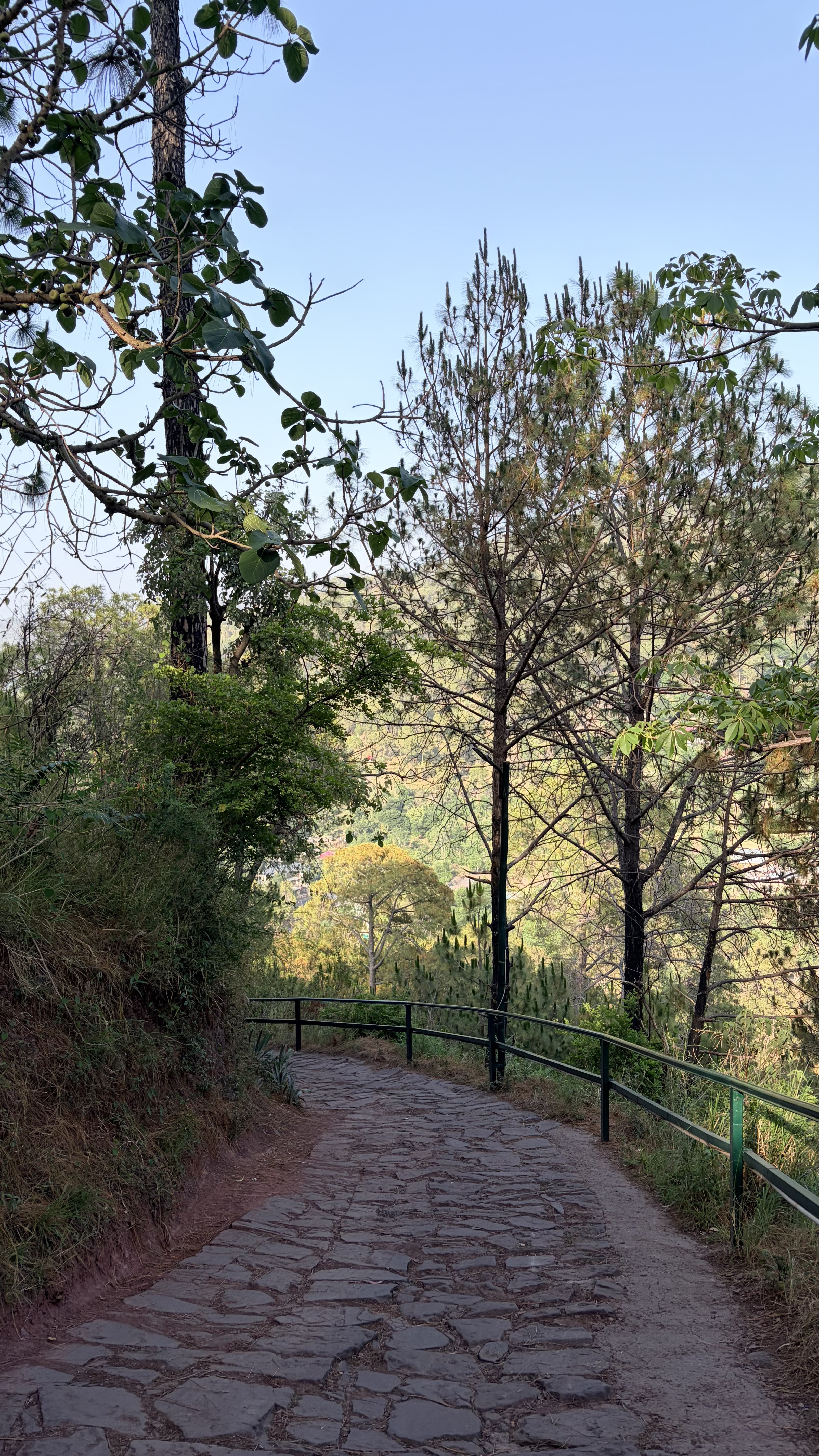 Kasauli, Himachal Pradesh