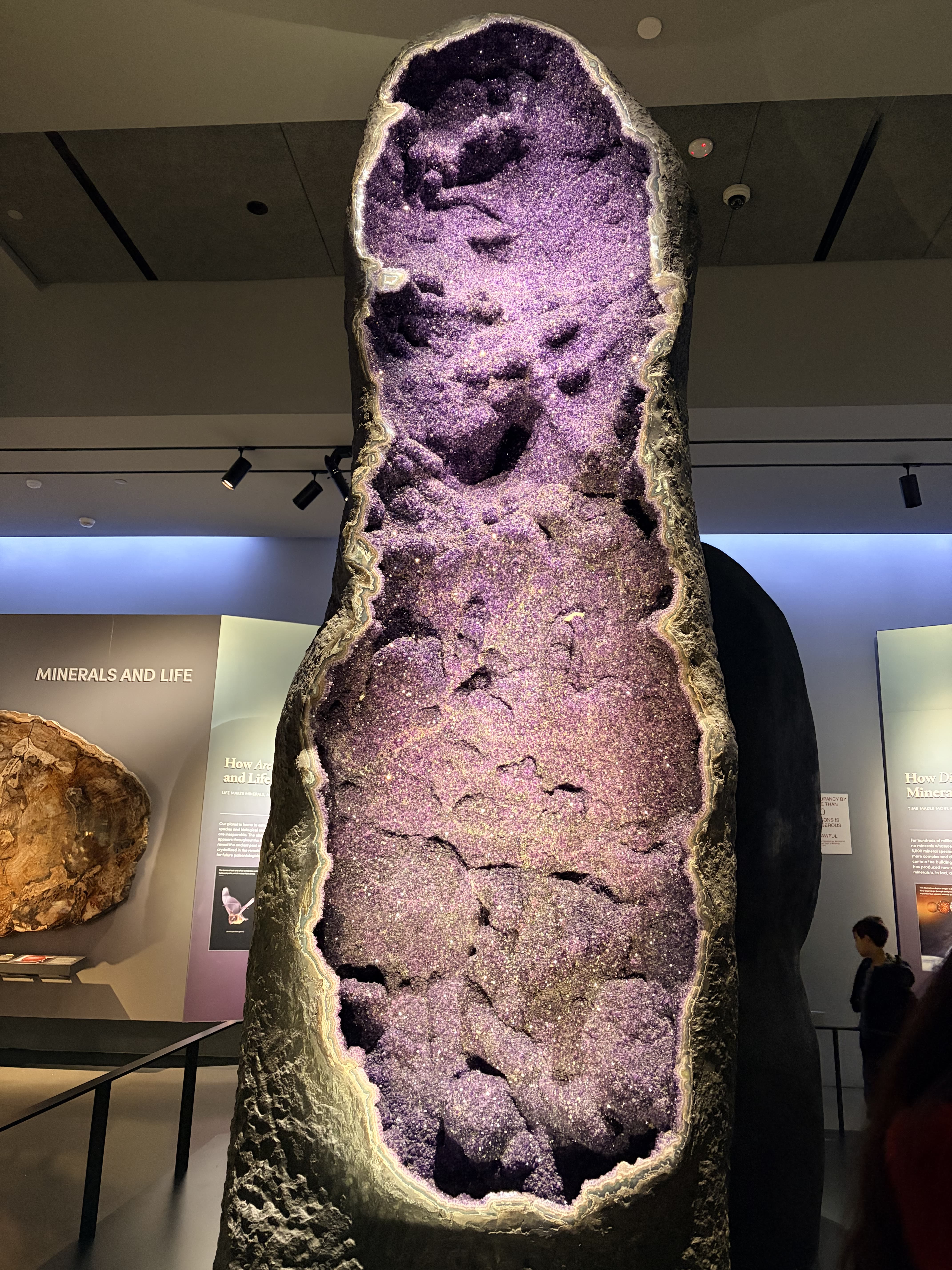 Amethyst Geode, The American Museum of Natural History, New York City