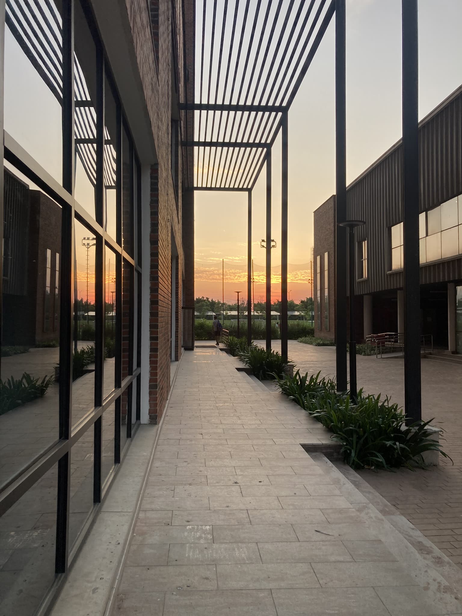 Ashoka University