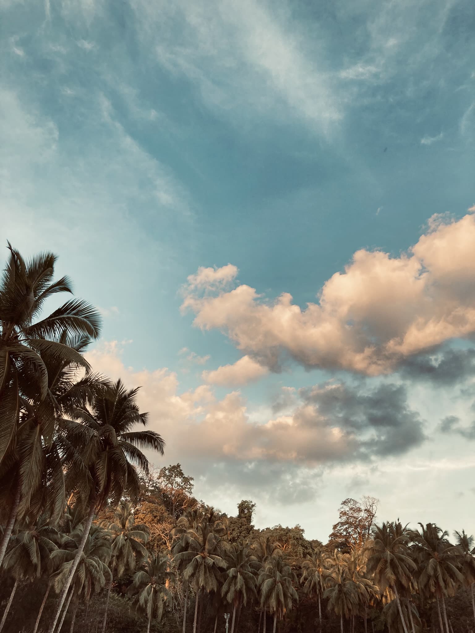Andaman and Nicobar Islands