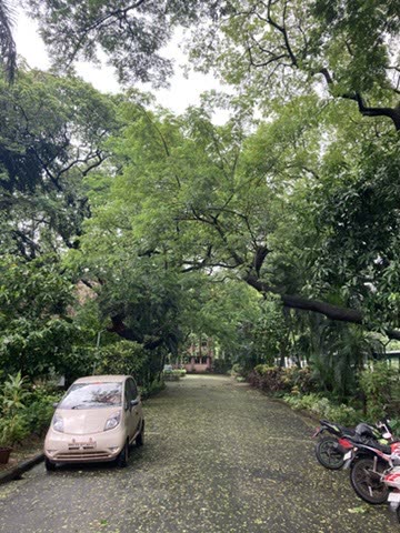Homi Bhabha Centre for Science Education and Research, Mumbai