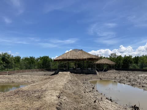 Sundarbans, West Bengal