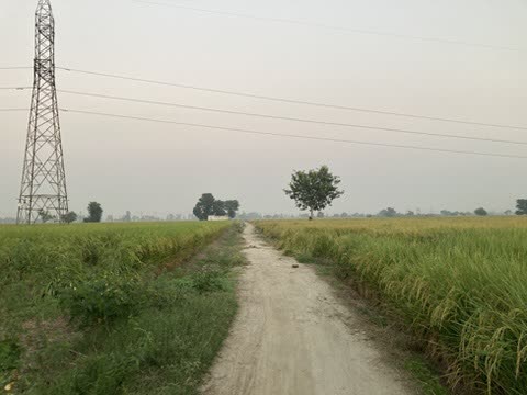 Asawarpur, Haryana