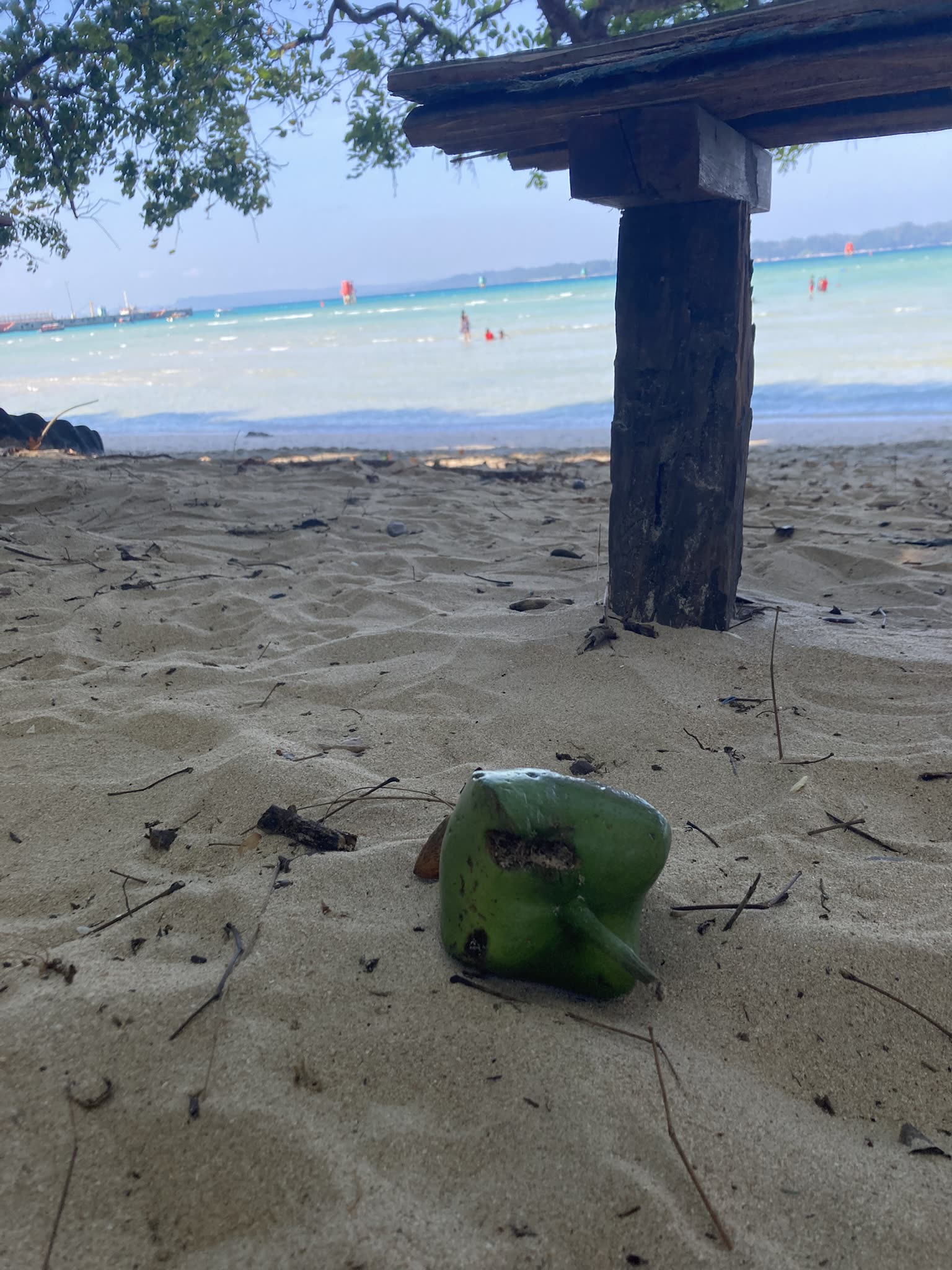 Andaman and Nicobar Islands