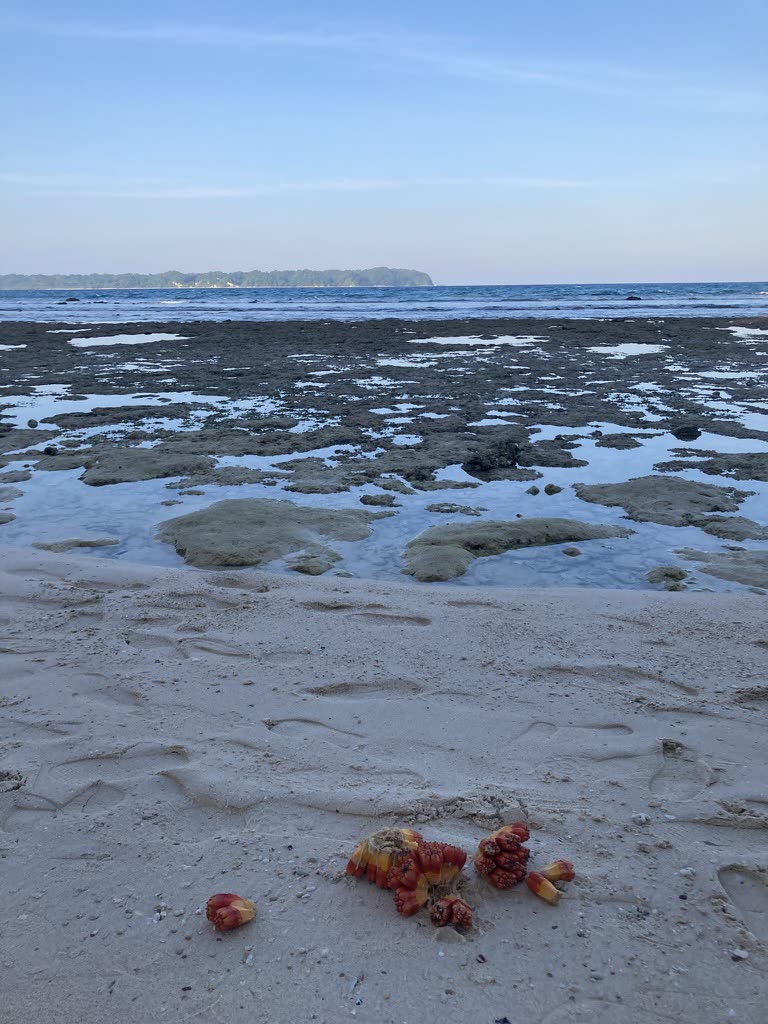 Andaman and Nicobar Islands