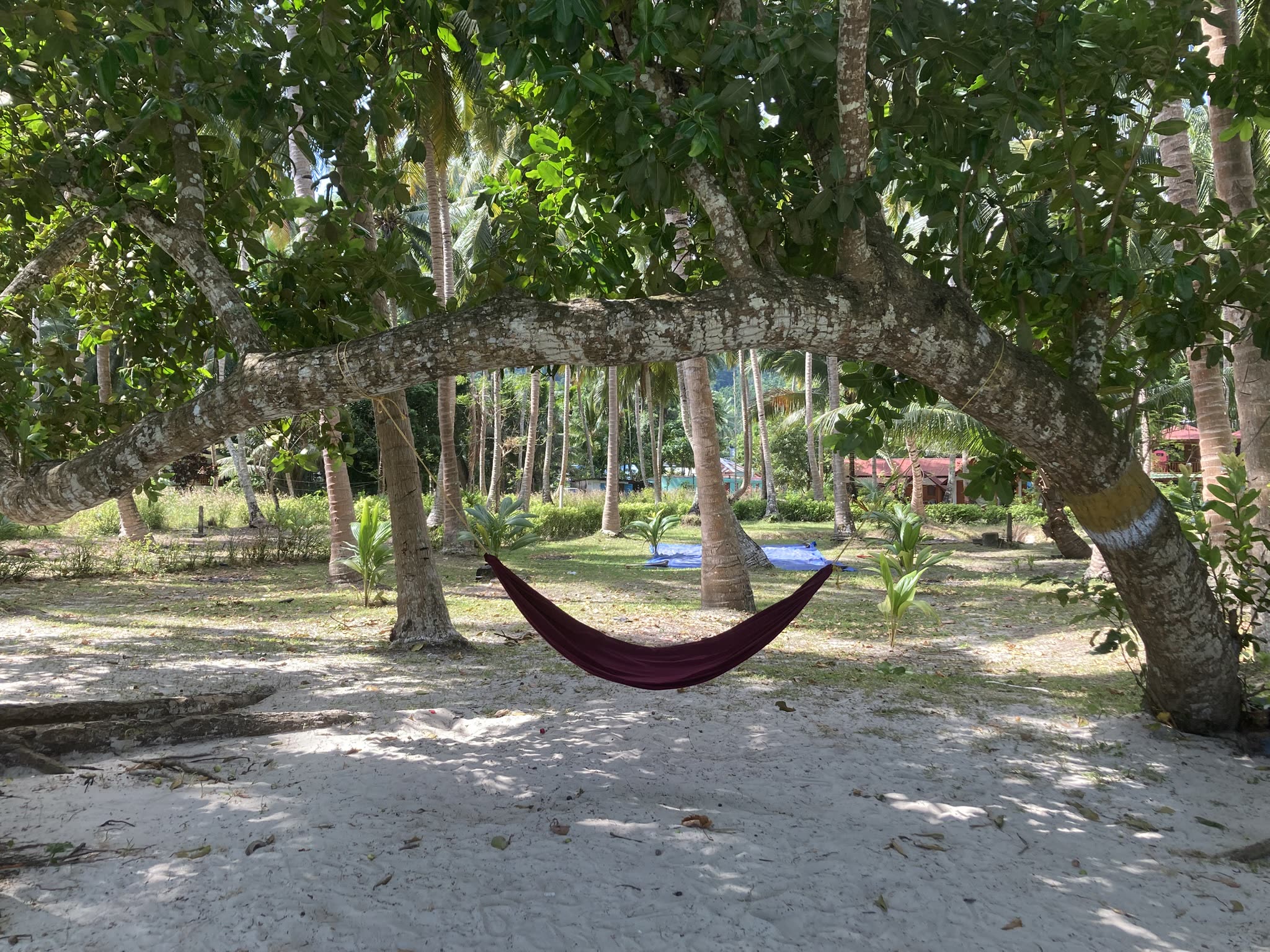 Andaman and Nicobar Islands
