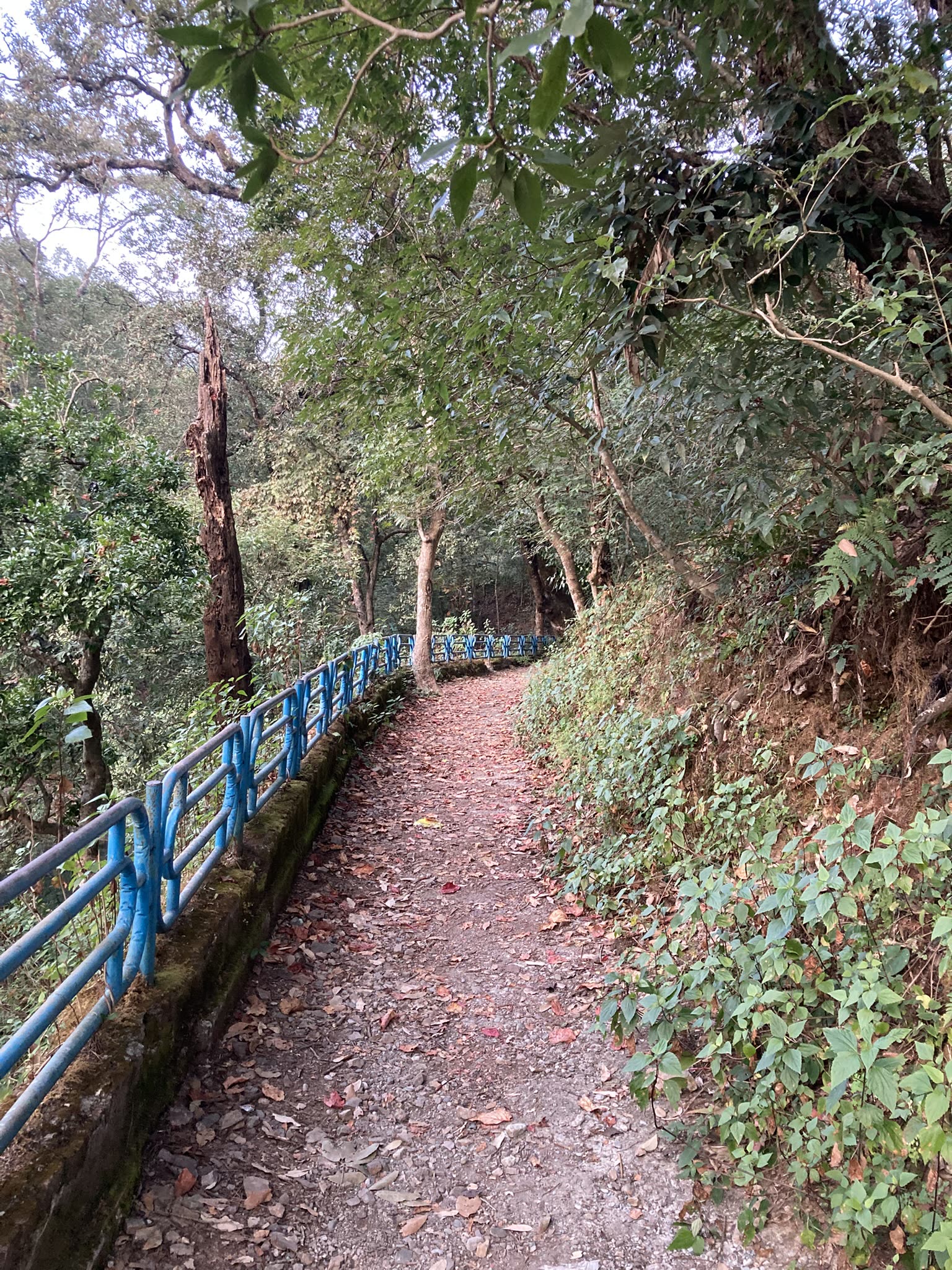 Somewhere in Uttarakhand